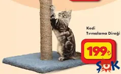 KEDİ TIRMALAMA DİREĞİ indirimli fiyat KEDİ TIRMALAMA DİREĞİ fiyat ve kampanya bilgisi